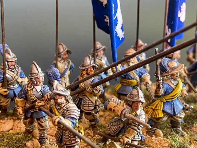Swedish Blue Regiment-3