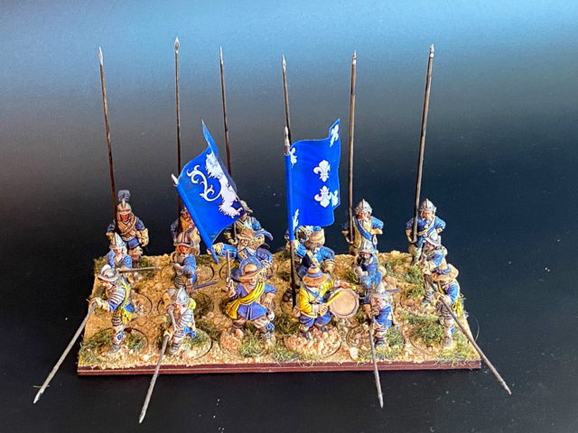 Swedish Blue Regiment-4