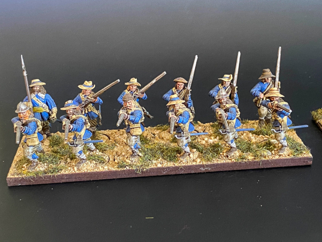 Swedish Blue Regiment-6