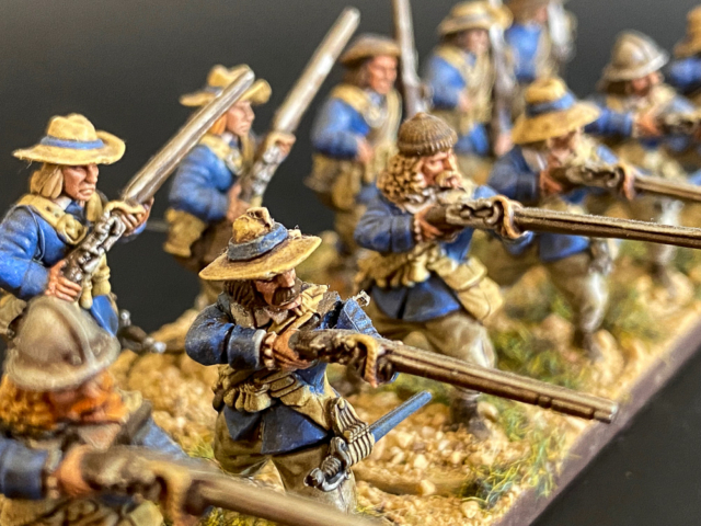 Swedish Blue Regiment-7